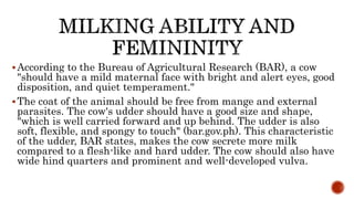 According to the Bureau of Agricultural Research (BAR), a cow
"should have a mild maternal face with bright and alert eyes, good
disposition, and quiet temperament."
The coat of the animal should be free from mange and external
parasites. The cow's udder should have a good size and shape,
"which is well carried forward and up behind. The udder is also
soft, flexible, and spongy to touch" (bar.gov.ph). This characteristic
of the udder, BAR states, makes the cow secrete more milk
compared to a flesh-like and hard udder. The cow should also have
wide hind quarters and prominent and well-developed vulva.
 