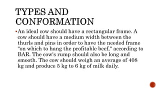 Rectangular Cow Lesson 3 BREEDS AND BREEDING OF LARGE RUMINANTS.pptx