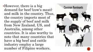 Lesson 3 BREEDS AND BREEDING OF LARGE RUMINANTS.pptx