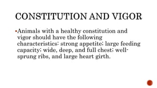 Animals with a healthy constitution and
vigor should have the following
characteristics: strong appetite; large feeding
capacity; wide, deep, and full chest; well-
sprung ribs, and large heart girth.
 