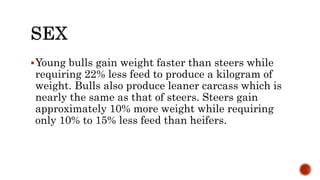 Young bulls gain weight faster than steers while
requiring 22% less feed to produce a kilogram of
weight. Bulls also produce leaner carcass which is
nearly the same as that of steers. Steers gain
approximately 10% more weight while requiring
only 10% to 15% less feed than heifers.
 