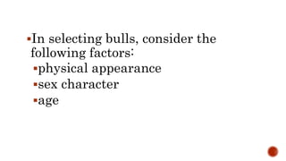 In selecting bulls, consider the
following factors:
physical appearance
sex character
age
 