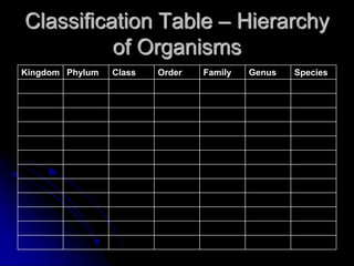 Organ Classification Plant and Animal Organ Systems and their Functions | PDF