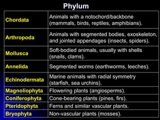 Plant and Animal Organ Systems and their Functions | PDF
