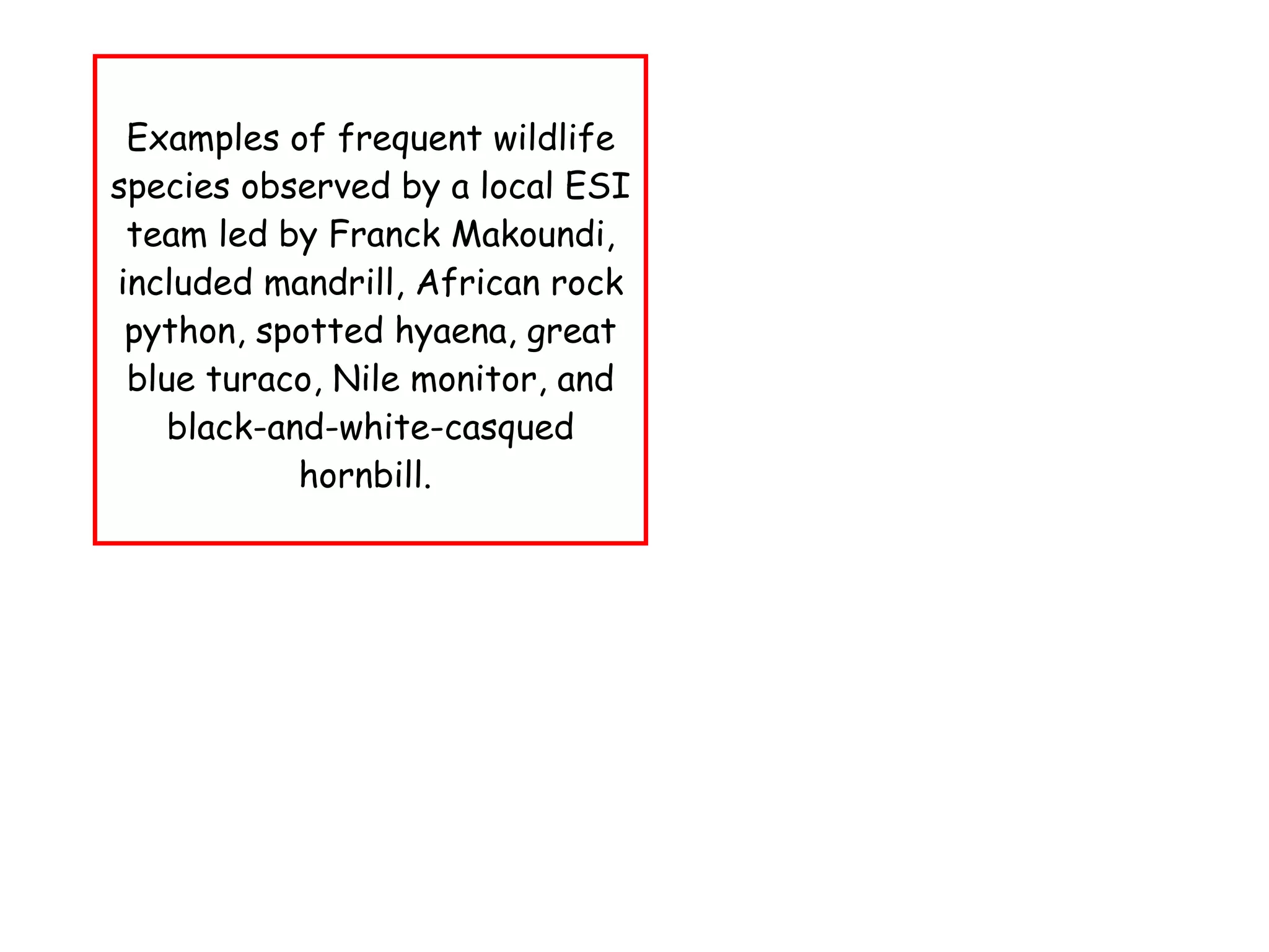 Examples of frequent wildlife species observed by a local ESI team led by Franck Makoundi, included mandrill, African rock python, spotted hyaena, great blue turaco, Nile monitor, and black-and-white-casqued hornbill.  