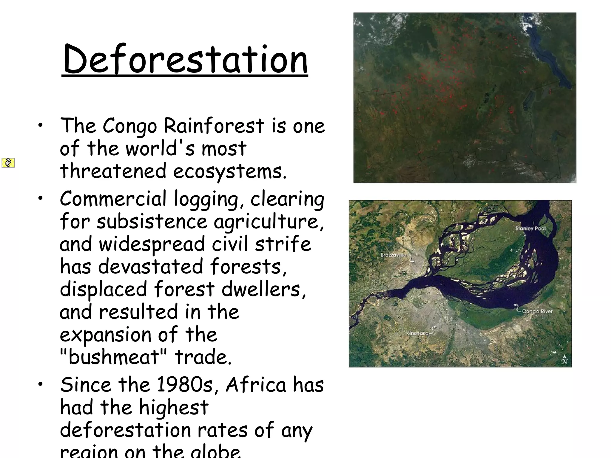 Deforestation The Congo Rainforest is one of the world's most threatened ecosystems.  Commercial logging, clearing for subsistence agriculture, and widespread civil strife has devastated forests, displaced forest dwellers, and resulted in the expansion of the "bushmeat" trade.  Since the 1980s, Africa has had the highest deforestation rates of any region on the globe.  