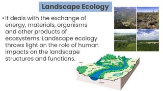 Lesson 3 Ecosystem for gclass.pptx for 2nd year srudents | PPTX