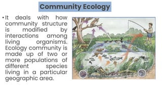 Example Of Community In Ecology Lesson 3 Ecosystem for gclass.pptx for 2nd year srudents | PPTX