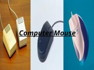 Computer Mouse
 