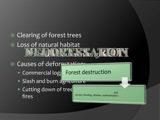 Clearing of forest trees Loss of natural habitat  flora and fauna endangeredCauses of deforestation:Commercial loggingSlash and burn agricultureCutting down of trees for fuel wood and forest firesNEODFTESAROTIDEFORESTATION