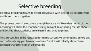 Lesson 3 Increasing agricultural yields Selective breeding (1).pptx