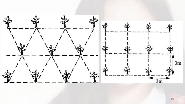 Agri-Crop Production - Lesson 3 interpret plans and drawings | PDF