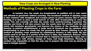 Agri-Crop Production - Lesson 3 interpret plans and drawings | PDF