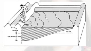 Agri-Crop Production - Lesson 3 interpret plans and drawings | PDF
