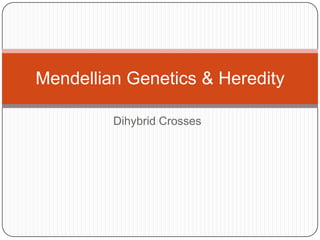 Mendellian Genetics & Heredity

         Dihybrid Crosses
 