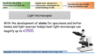 Lesson 3 Microscopes and their types and Function | PPTX