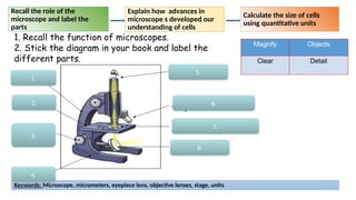 Lesson 3 Microscopes and their types and Function | PPTX