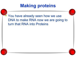 Making proteins ,[object Object]