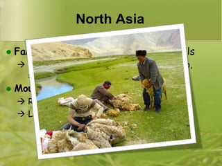 North AsiaFarming: near river valleys and low hills	Rice, wheat, cotton, vegetables, tobacco, 	sugar beets,  onions, grapes,  applesMountainous areas: main livelihood	Raising livestock (cows, sheep)	Livestock: milk, wool, meat