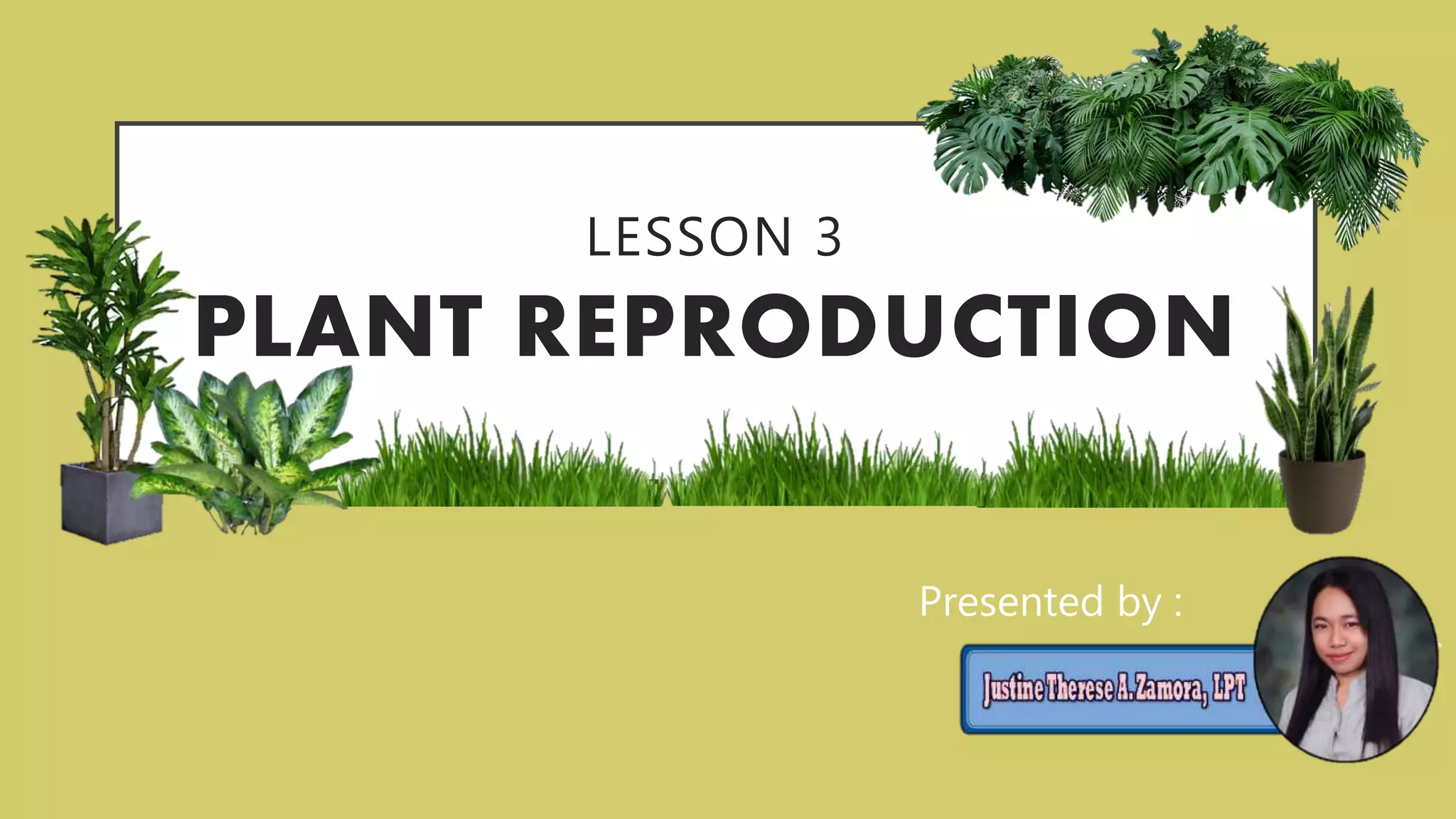 Lesson 3 Plant Reproduction Grade 5 Science PPT