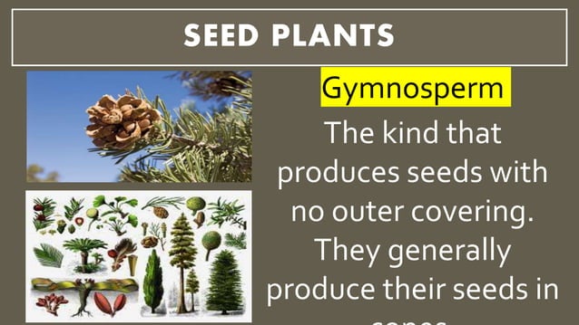 Lesson 3 Plant Reproduction- Grade 5 Science | PPT