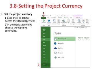 3.8-Setting the Project Currency
• Set the project currency
1 Click the File tab to
access the Backstage view.
2 In the Backstage view,
choose the Options
command.
1
2
 