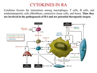 CYTOKINES IN RA
Cytokines favours the interactions among macrophages, T cells, B cells, and
nonhematopoietic cells (fibroblasts, connective tissue cells, and bone). Thus they
are involved in the pathogenesis of RA and are potential therapeutic targets.
Brennan FM, McInnes IB. Evidence that cytokines play a role in rheumatoid arthritis. J Clin Invest. 2008 Nov;118(11):3537-45.
 