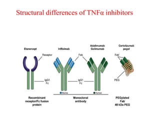 Structural differences of TNFα inhibitors
 
