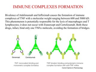 IMMUNE COMPLEXES FORMATION
Bivalence of Adalimumab and Infliximab causes the formation of immune
complexes of TNF with a molecular weight ranging between 600 and 5000 kD.
This phenomenon is potentially responsible for the lysis of macrophages and T
lymphocytes; it does not occur with Etanercept and Certolizumab. Both these
drugs, infact, bind only one TNFa molecule, avoiding the formation of bridges.
 