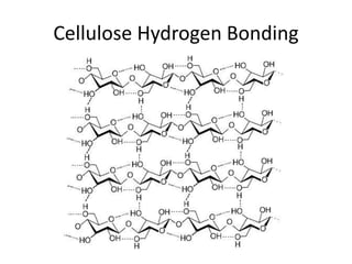 Cellulose Hydrogen Bonding
 