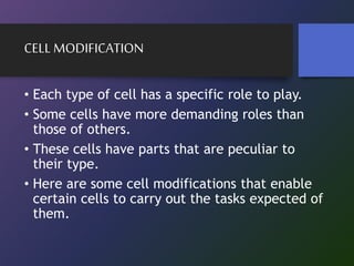 General Biology 1- Lesson 3: Structure and Functions of Animal Tissues ...
