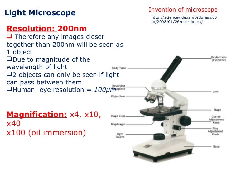 Lesson 4 Microscopes