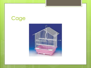 Cage
 