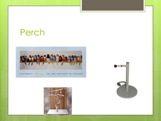 Perch
 
