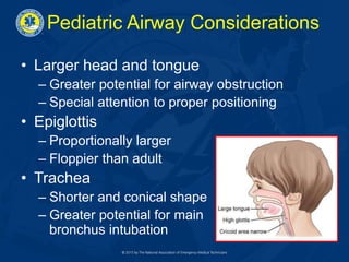 Pediatric Airway Considerations
• Larger head and tongue
– Greater potential for airway obstruction
– Special attention to proper positioning
• Epiglottis
– Proportionally larger
– Floppier than adult
• Trachea
– Shorter and conical shape
– Greater potential for main
bronchus intubation
 