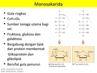 Monosakarida
 Gula ringkas
 C6H12O6
 Sumber tenaga utama bagi
sel.
 Fruktosa, glukosa dan
galaktosa
 Bergabung dengan lipid
dan protein membentuk
Glikoprotein dan
glikolipid.
 Bersifat gula penurun
NUR SUHAIDAH SUKOR
SMK SANDAKAN, SABAH
 