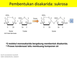Pembentukan disakarida: sukrosa
2 molekul monosakarida bergabung membentuk disakarida.
 Proses kondensasi iaitu membuang komponen air
NUR SUHAIDAH SUKOR
SMK SANDAKAN, SABAH
 