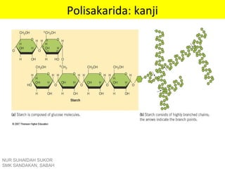 Polisakarida: kanji
NUR SUHAIDAH SUKOR
SMK SANDAKAN, SABAH
 