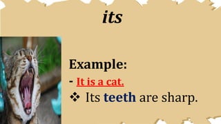 Possessive Pronouns | PPTX