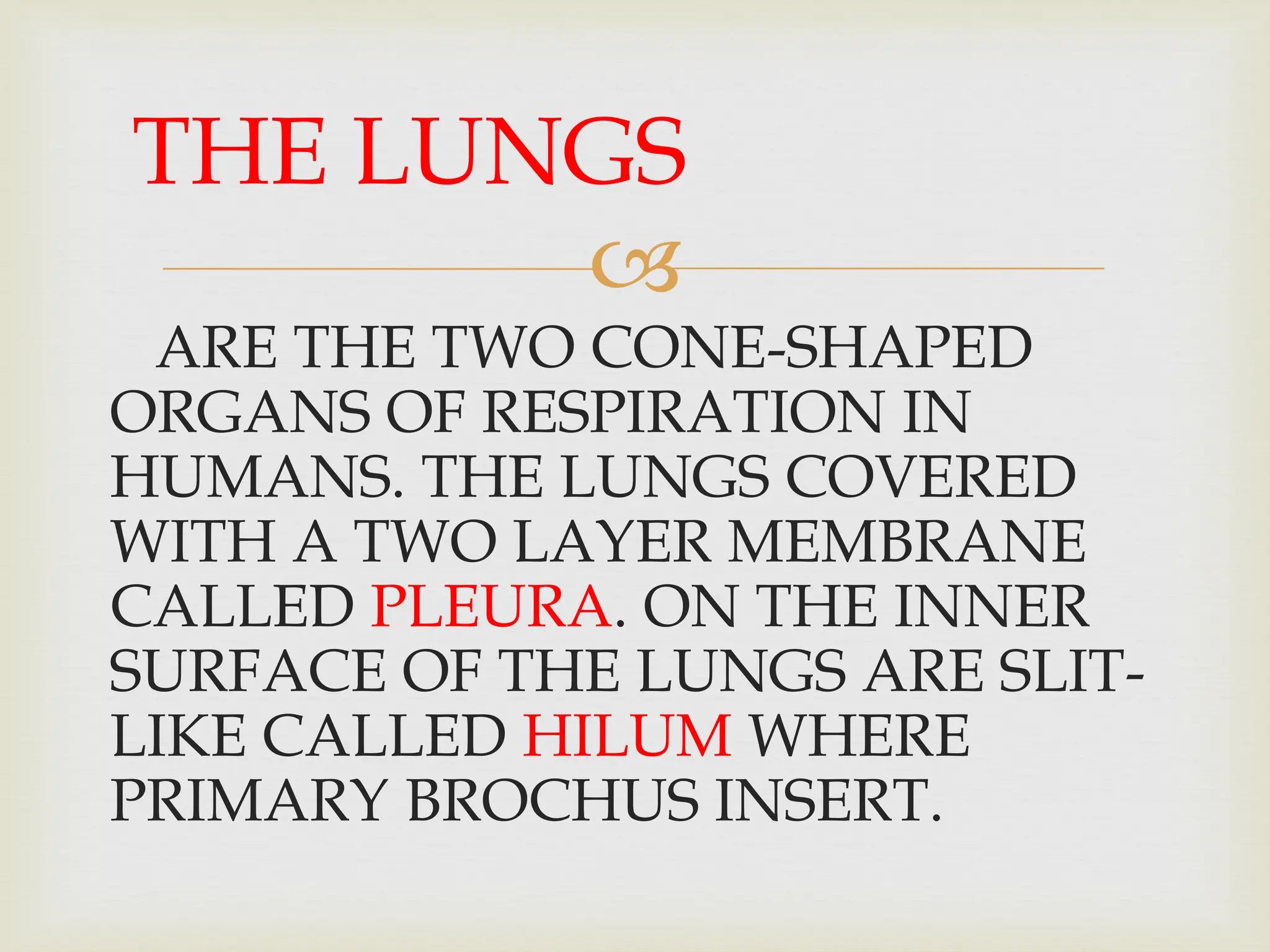 
ARE THE TWO CONE-SHAPED
ORGANS OF RESPIRATION IN
HUMANS. THE LUNGS COVERED
WITH A TWO LAYER MEMBRANE
CALLED PLEURA. ON THE INNER
SURFACE OF THE LUNGS ARE SLIT-
LIKE CALLED HILUM WHERE
PRIMARY BROCHUS INSERT.
THE LUNGS
 