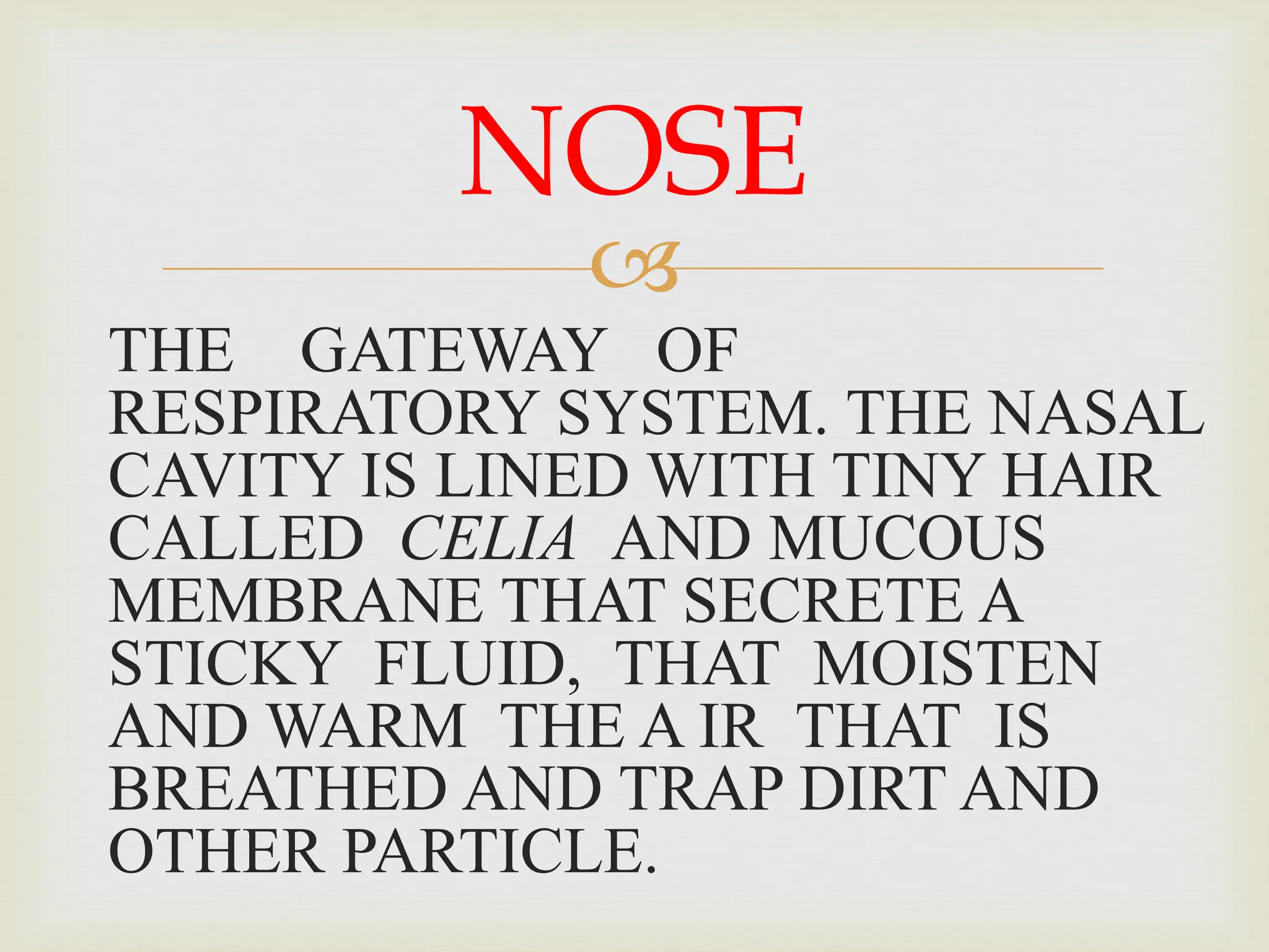 
THE GATEWAY OF
RESPIRATORY SYSTEM. THE NASAL
CAVITY IS LINED WITH TINY HAIR
CALLED CELIA AND MUCOUS
MEMBRANE THAT SECRETE A
STICKY FLUID, THAT MOISTEN
AND WARM THE A IR THAT IS
BREATHED AND TRAP DIRT AND
OTHER PARTICLE.
NOSE
 