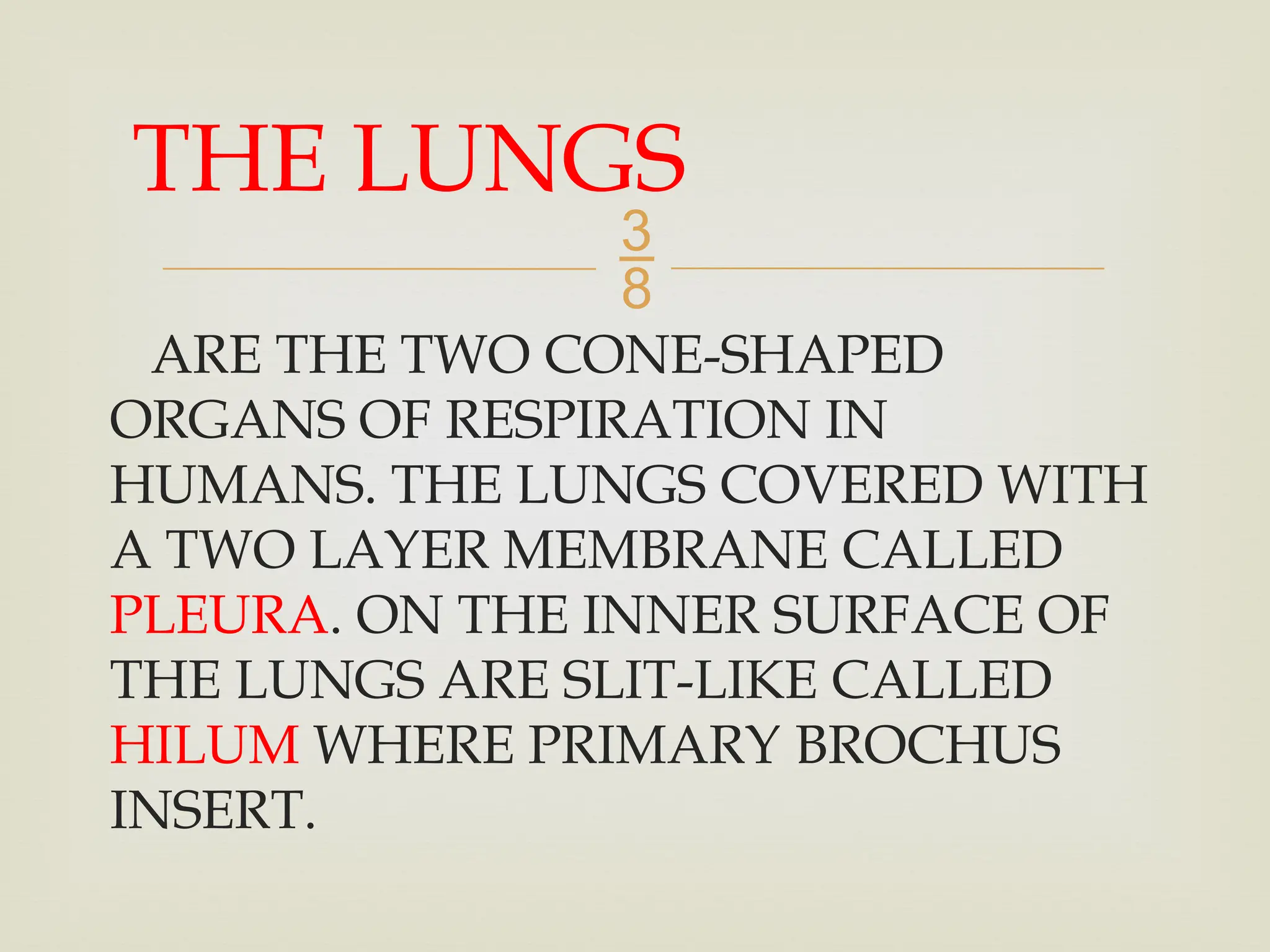 
ARE THE TWO CONE-SHAPED
ORGANS OF RESPIRATION IN
HUMANS. THE LUNGS COVERED WITH
A TWO LAYER MEMBRANE CALLED
PLEURA. ON THE INNER SURFACE OF
THE LUNGS ARE SLIT-LIKE CALLED
HILUM WHERE PRIMARY BROCHUS
INSERT.
THE LUNGS
 