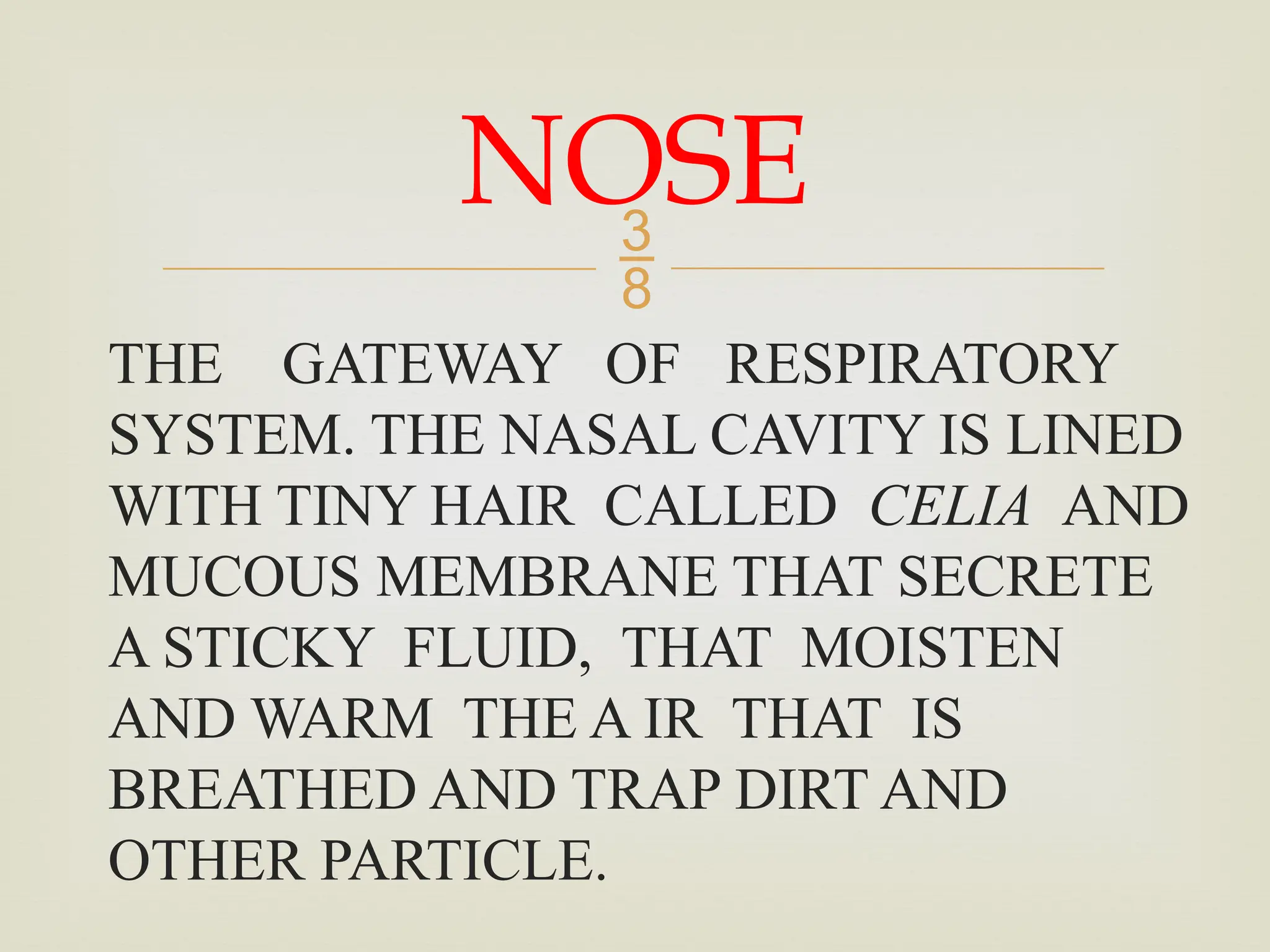 
THE GATEWAY OF RESPIRATORY
SYSTEM. THE NASAL CAVITY IS LINED
WITH TINY HAIR CALLED CELIA AND
MUCOUS MEMBRANE THAT SECRETE
A STICKY FLUID, THAT MOISTEN
AND WARM THE A IR THAT IS
BREATHED AND TRAP DIRT AND
OTHER PARTICLE.
NOSE
 