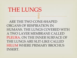 Lesson 4.pptxRespiratory System and Disorder | PPTX