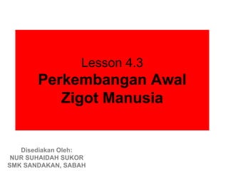 Lesson 4.3
       Perkembangan Awal
          Zigot Manusia


   Disediakan Oleh:
 NUR SUHAIDAH SUKOR
SMK SANDAKAN, SABAH
 