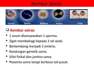 Kembar Seiras



 Kembar seiras
   1 ovum disenyawakan 1 sperma.
   Zigot membahagi kepada 2 sel anak.
   Berkembang menjadi 2 embrio.
   Kandungan genetik sama.
   Sifat fizikal dan jantina sama.
   Plasenta sama tetapi berbeza tali pusat.
 