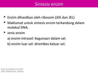 Sintesis enzim

   Enzim dihasilkan oleh ribosom (JEK dan JEL)
   Maklumat untuk sintesis enzim terkandung dalam
    molekul DNA.
   Jenis enzim
    a) enzim intrasel: kegunaan dalam sel.
    b) enzim luar sel: dirembes keluar sel.




NUR SUHAIDAH SUKOR
SMK SANDAKAN, SABAH
 