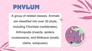 PHYLUM
A group of related classes. Animals
are classified into over 30 phyla,
including Chordata (vertebrates),
Arthropoda (insects, spiders,
crustaceans), and Mollusca (snails,
clams, octopuses).
 