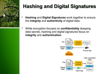 Secret Hasing Introduction to world of Cryptography.pptx