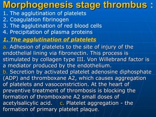 LESSON 4-DISORDERS OF BLOOD AND LYMPH CIRCULATION.ppt